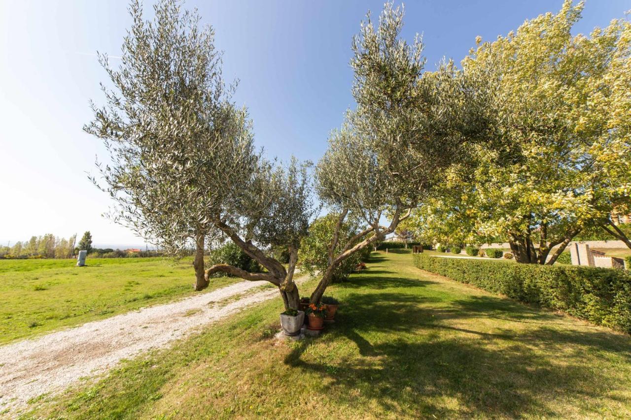 Agriturismo Bella Cima Montefiascone Exterior foto