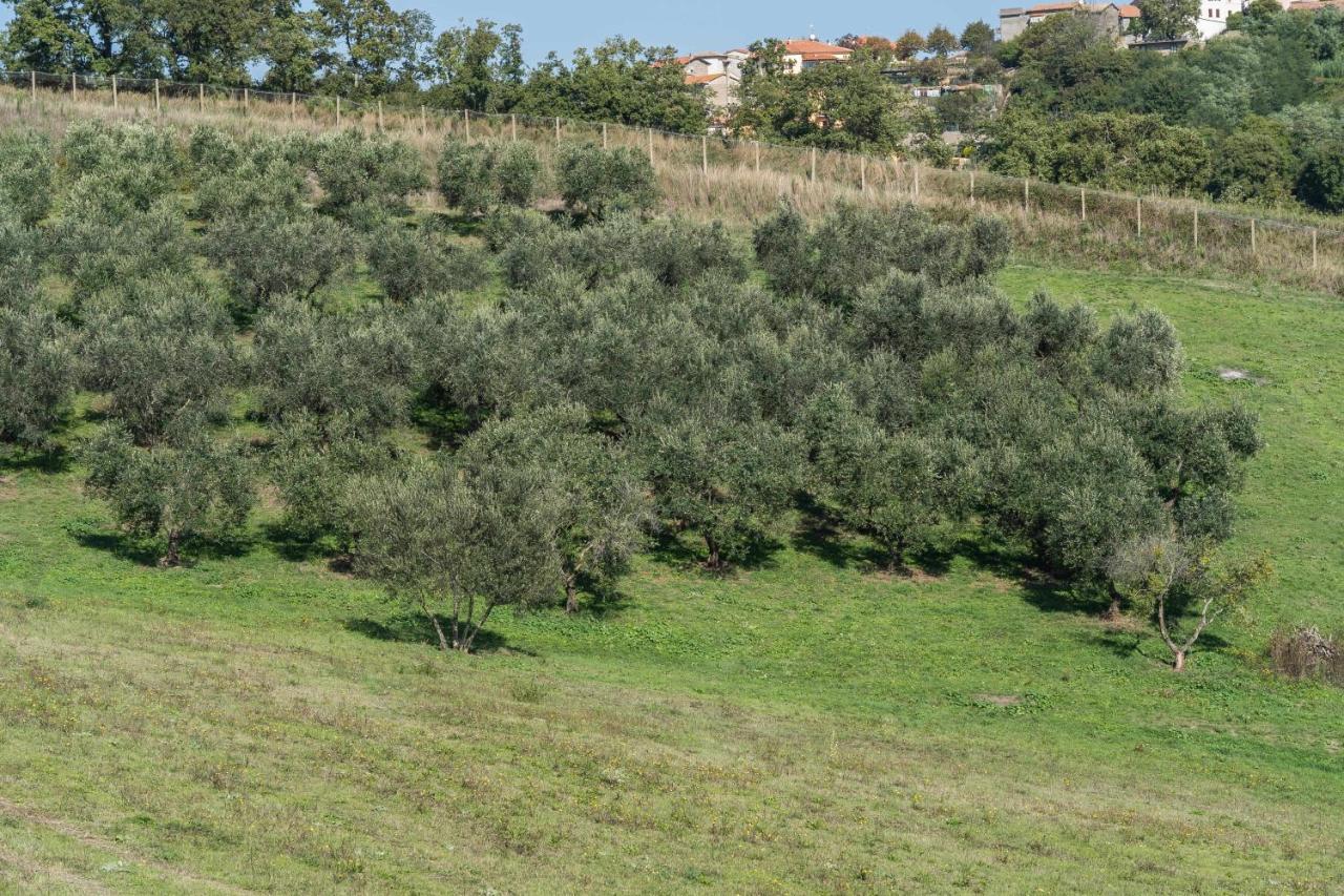 Agriturismo Bella Cima Montefiascone Exterior foto